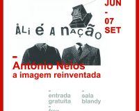 António Nelos, A Imagem Reinventada, 2024 (2/4)